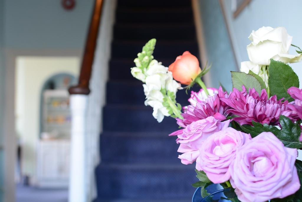 Blue Palms Guest house 4*